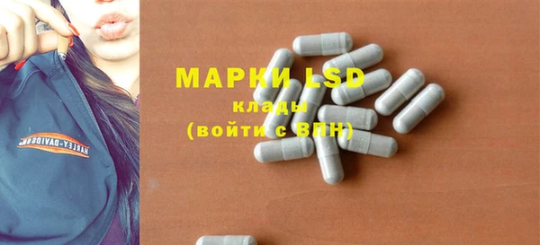 молекула духа Арсеньев