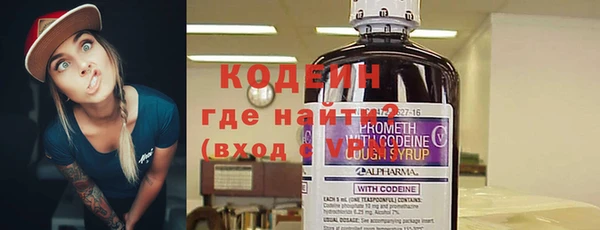 молекула духа Арсеньев