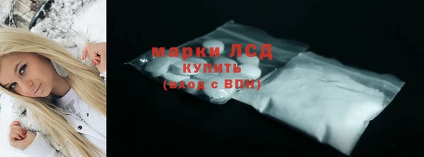 молекула духа Арсеньев